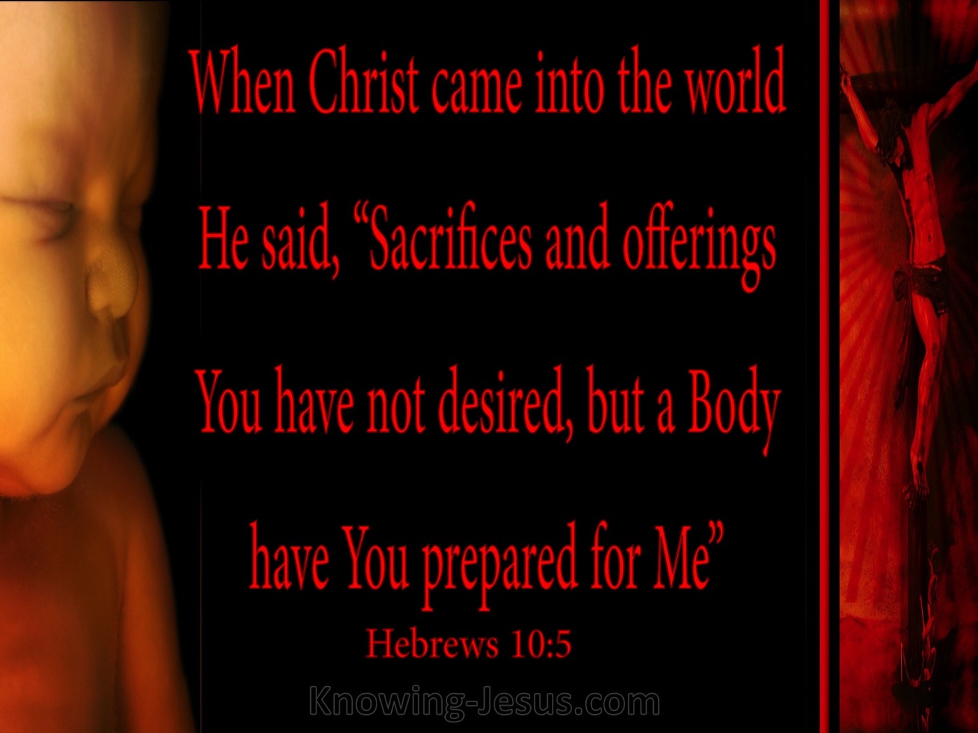 Hebrews 10:5 A Body You Have Prepared (red)